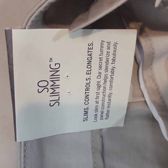 CHICO'S Tan So Slimming Katherine Regular Straight Pant in Putty - Picture 5 of 14